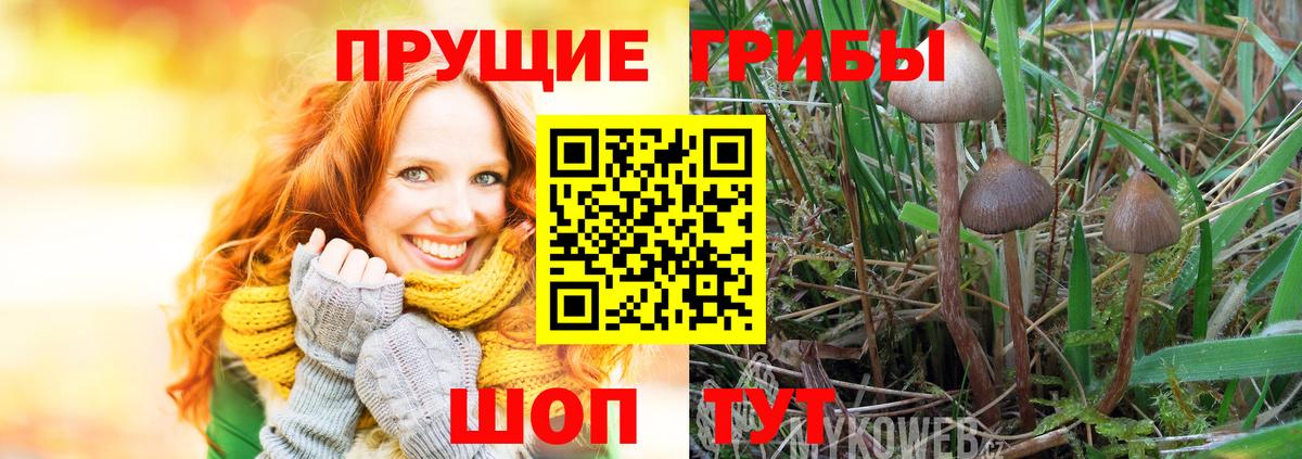 Галлюциногенные грибы Magic Shrooms  Вход с VPN  Псилоцибиновые грибы мухоморы  Саратов 